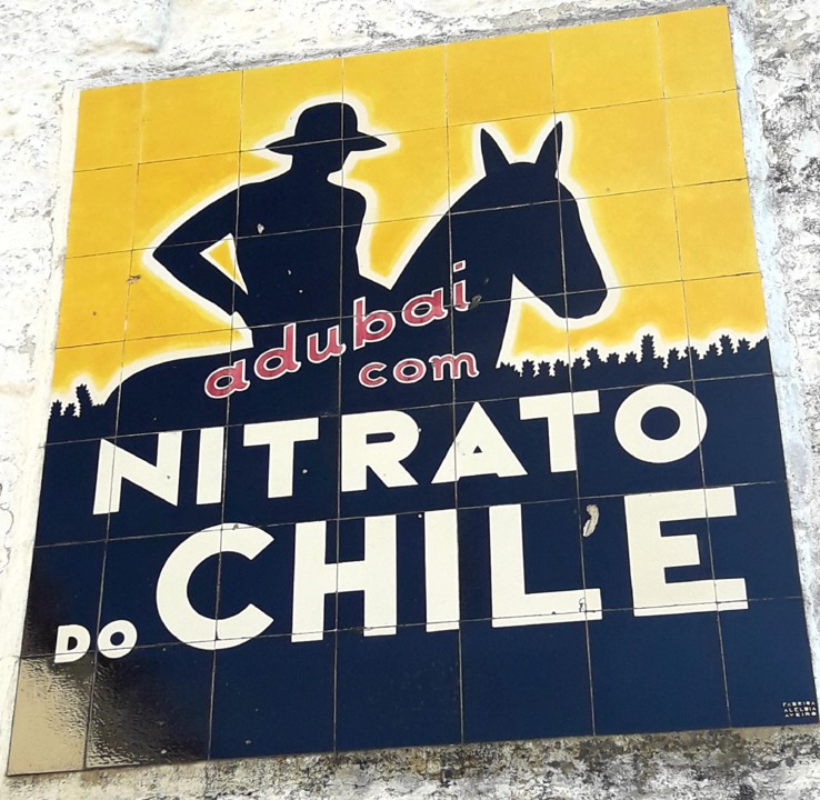 NITRATO DO CHILE.jpg