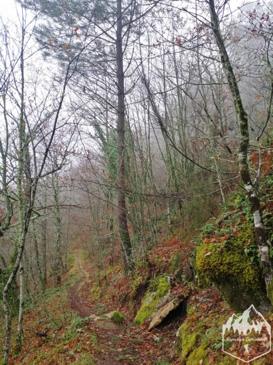 Photo_1582917303661.jpg Photo_1582917303661.jpg