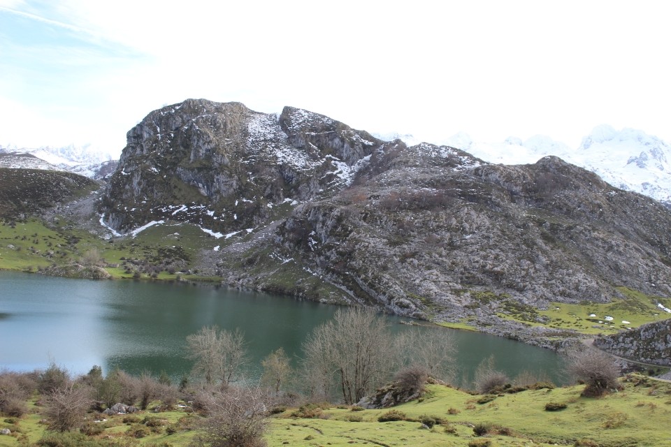 20191125133907_IMG_1322_resized_20200106_091852529