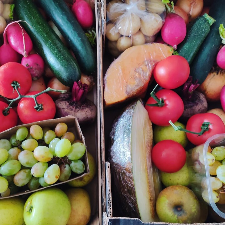 391737169_707345348089545_1223376872731081024_n.jp