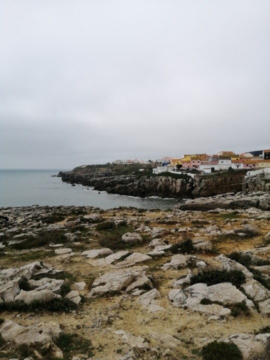 IMG_20200224_123705.jpg IMG_20200224_123705.jpg