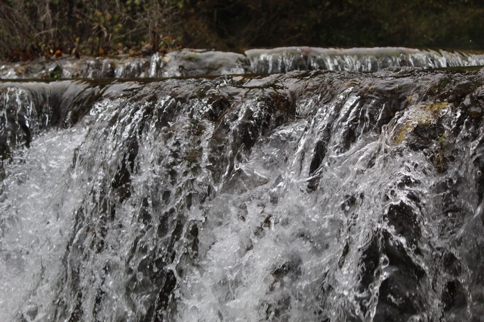 20191128131747_IMG_1754_resized_20200116_100705786