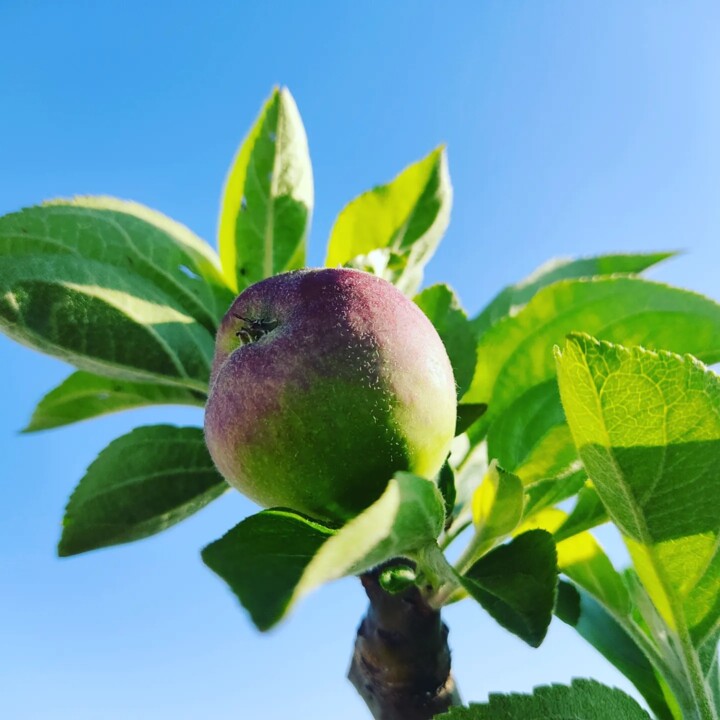 441872518_830305455793533_2514392902843409482_n.jp