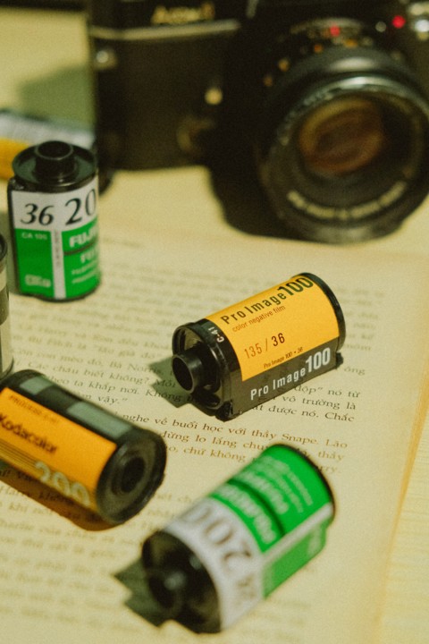 Ninhada de papagaios, Roberto Gamito