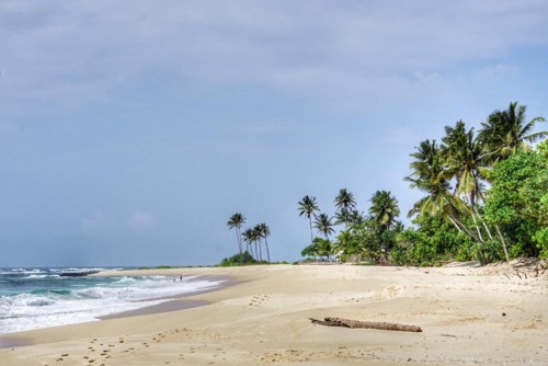 22365721_10214630434744625_8871088095242756869_n.j