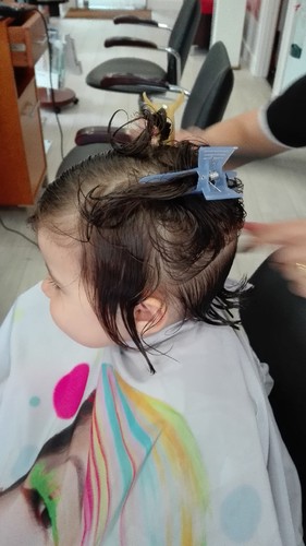 IMG_20170629_175700.jpg IMG_20170629_175700.jpg