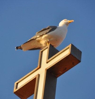 MAFRA PROF GANDRA - 8 MARÇO 2014 253.jpg