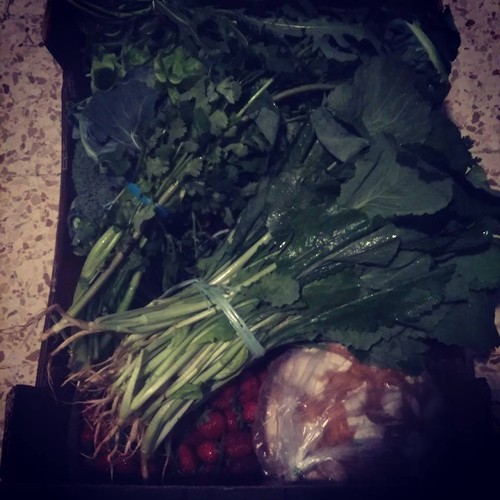 13165904_701471659992598_511020743897887169_n.jpg 13165904_701471659992598_511020743897887169_n.jpg