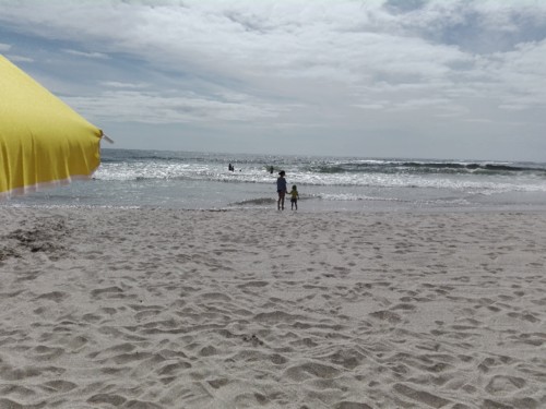 IMG_20180727_160053.jpg IMG_20180727_160053.jpg