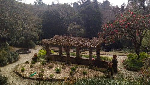 P_20170319_145701.jpg P_20170319_145701.jpg