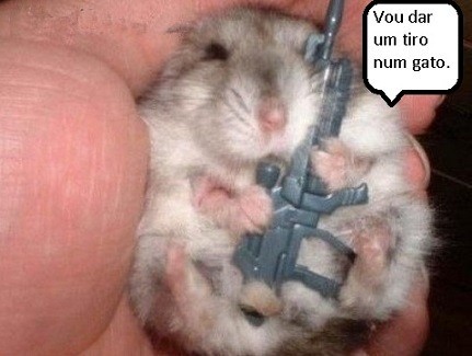 Ratinho.jpg Ratinho.jpg