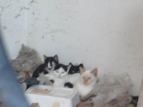 IMG_5125.JPG IMG_5125.JPG