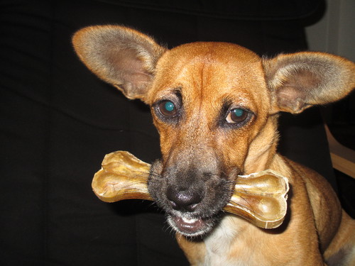 pequeno almoço.JPG pequeno almoço.JPG