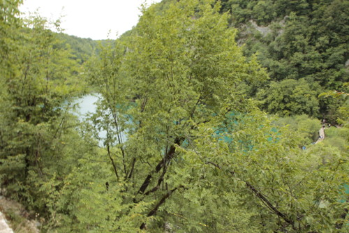 _MG_0832.JPG