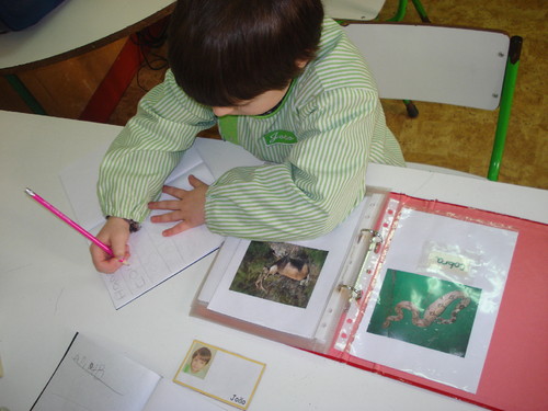 DSC07997.JPG DSC07997.JPG