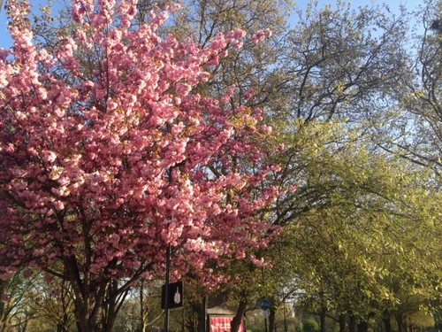 IMG_2028.JPG IMG_2028.JPG