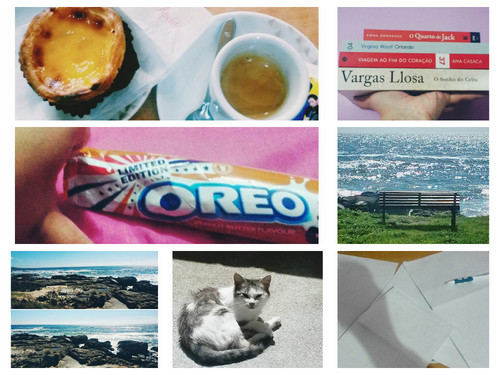 semana dezassete.jpg