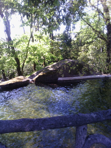 IMG_20150404_165048.jpg IMG_20150404_165048.jpg