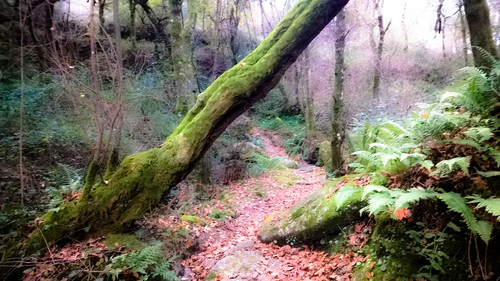 AdobePhotoshopExpress_1fd489f9fe614a10bf1eb556a327