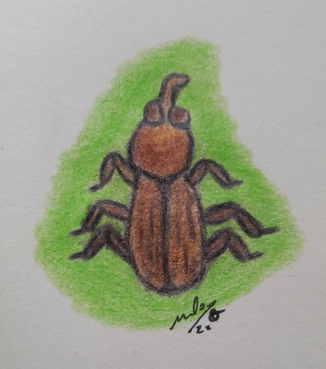 20221122_152639 (1).jpg