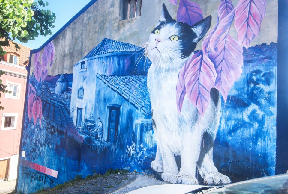 explicit citizens 1.jpg