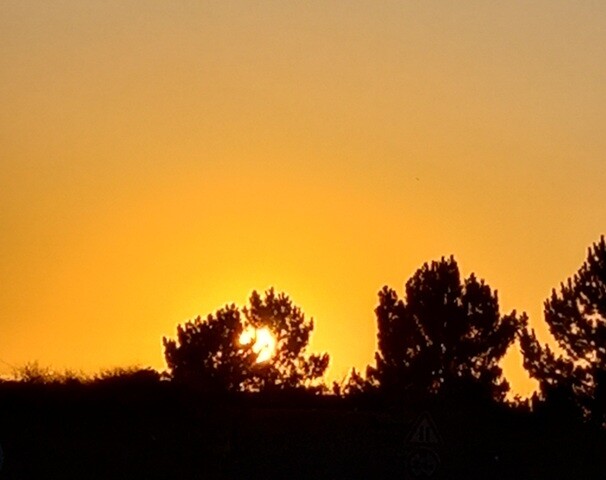 20230701_205415 - Cópia.jpg