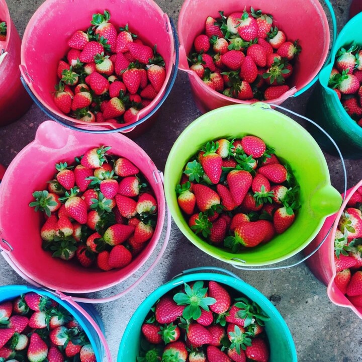 476804033_18460767751066958_1340589661758556878_n.