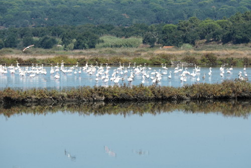 PA050116.JPG PA050116.JPG