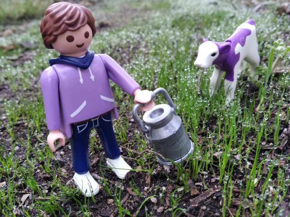 não_me_canso_disto_playmobil2.jpg não_me_canso_disto_playmobil2.jpg