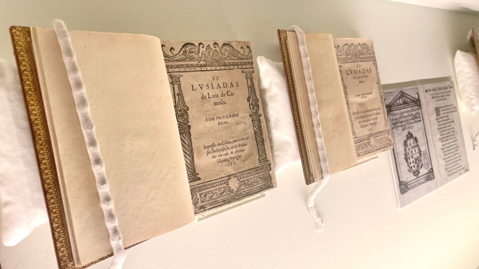 descarregar (3).jfif