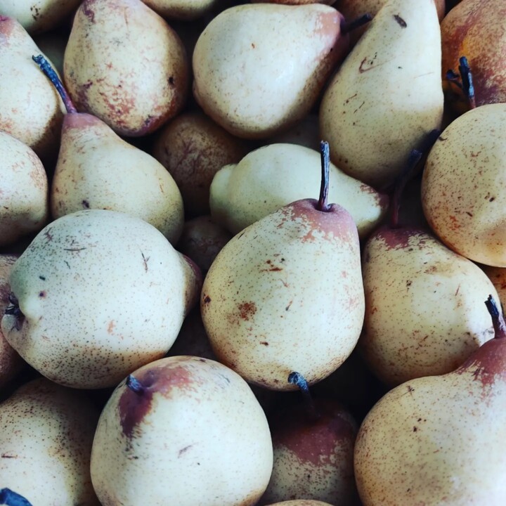 434155775_799656488858430_6354264670852603900_n.jp