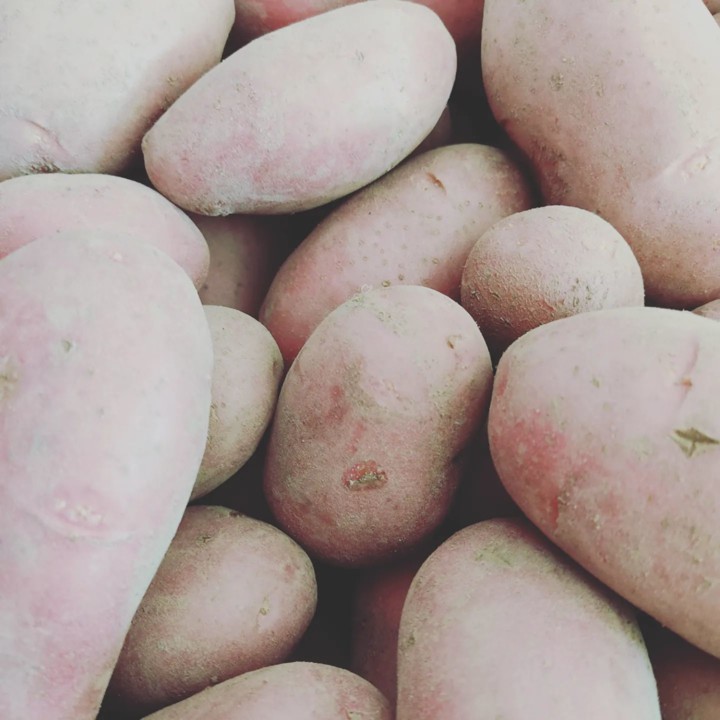 272766739_2224339831039099_8936644771467026088_n.j