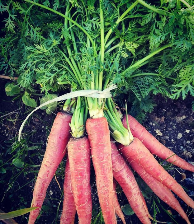 82567201_1593844260755329_4551306668100550656_o.jp 82567201_1593844260755329_4551306668100550656_o.jp