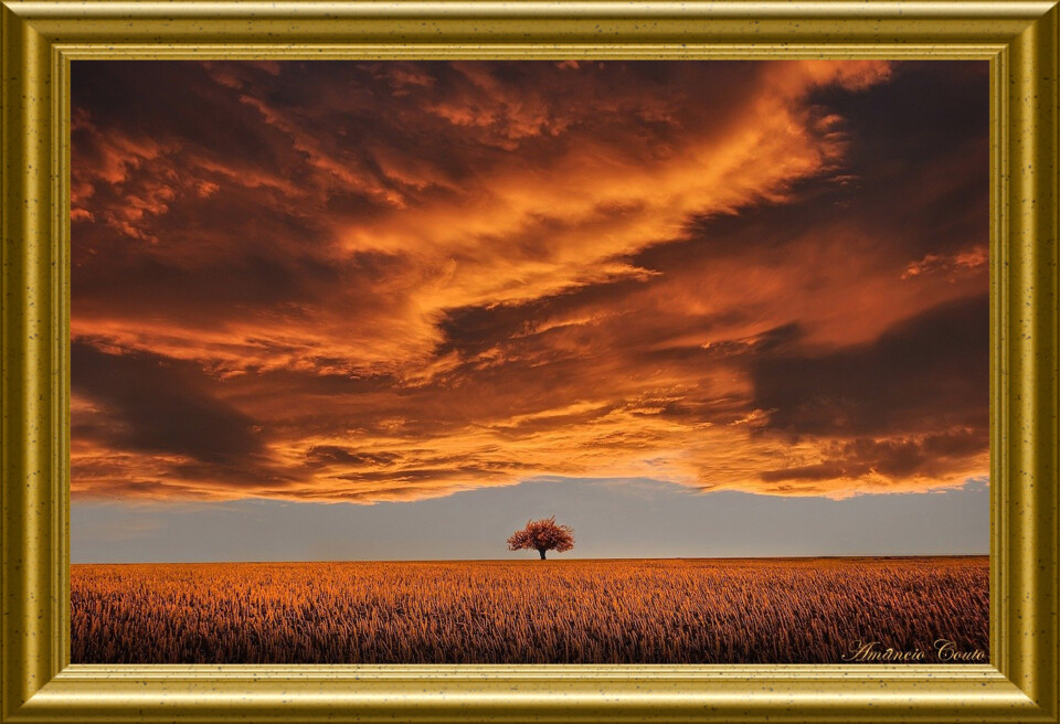 Se cheguei, ou de partida....jpg