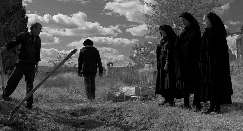 Raiva Sérgio Tréfaut 01.jpeg