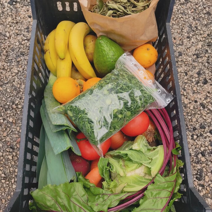 584881267_18516111952066958_6161666252095489575_n.