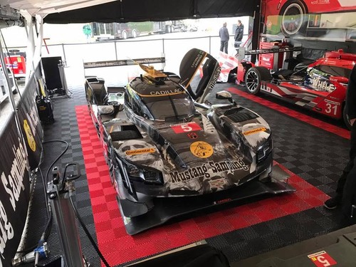 20597293_1641693832517795_4977368102519915234_n.jp