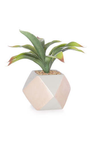 KIMBALL--------ROSE GOLD-CONCRET FAUX PLANT.jpg