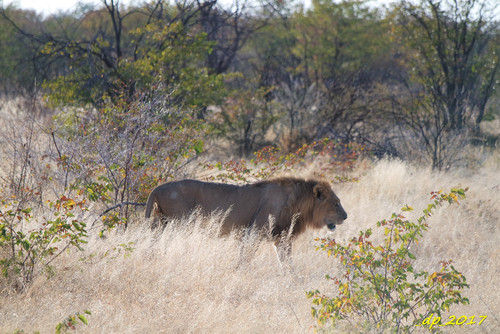 SAM_9614.JPG SAM_9614.JPG