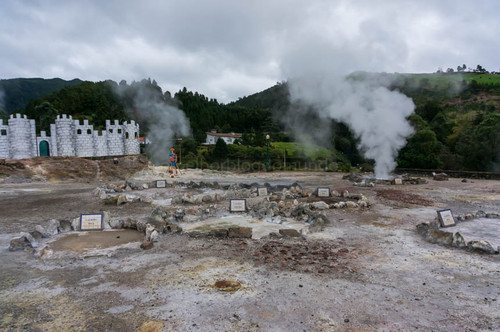 DSC09561.jpg DSC09561.jpg