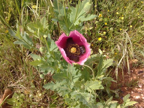 2013-03-27 11.01.44.jpg