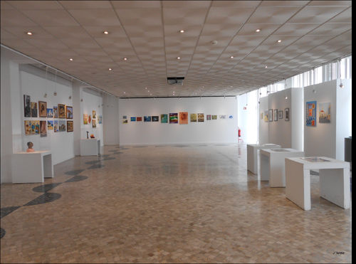 Exposição da USALMA (9). 2015. foto de João Flávios. PNG