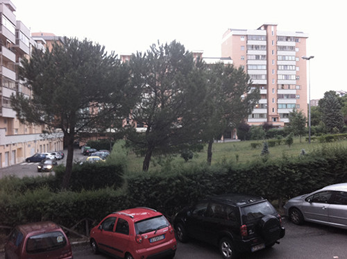 _IMG_5395.jpg _IMG_5395.jpg