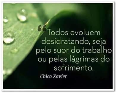 FB_IMG_1460420024006.jpg FB_IMG_1460420024006.jpg