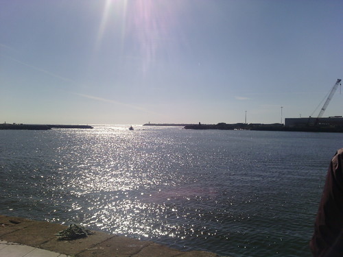 IMG_20160216_133031.jpg IMG_20160216_133031.jpg