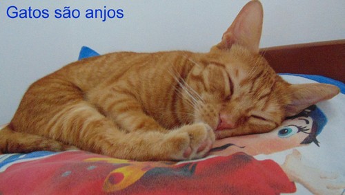 anjoRiscas.JPG anjoRiscas.JPG