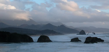 Vive e deixa viver Vive e deixa viver