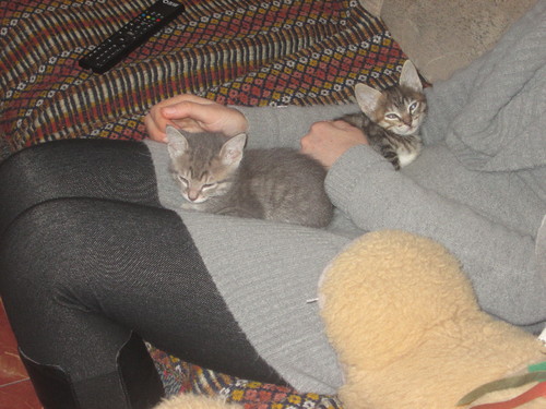 Becas e Amora 2.JPG Becas e Amora 2.JPG