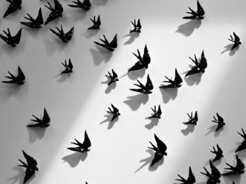 12974409_1095737957186981_3570118188757934945_n.jp 12974409_1095737957186981_3570118188757934945_n.jp