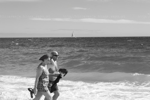 Algarve (c) 2014